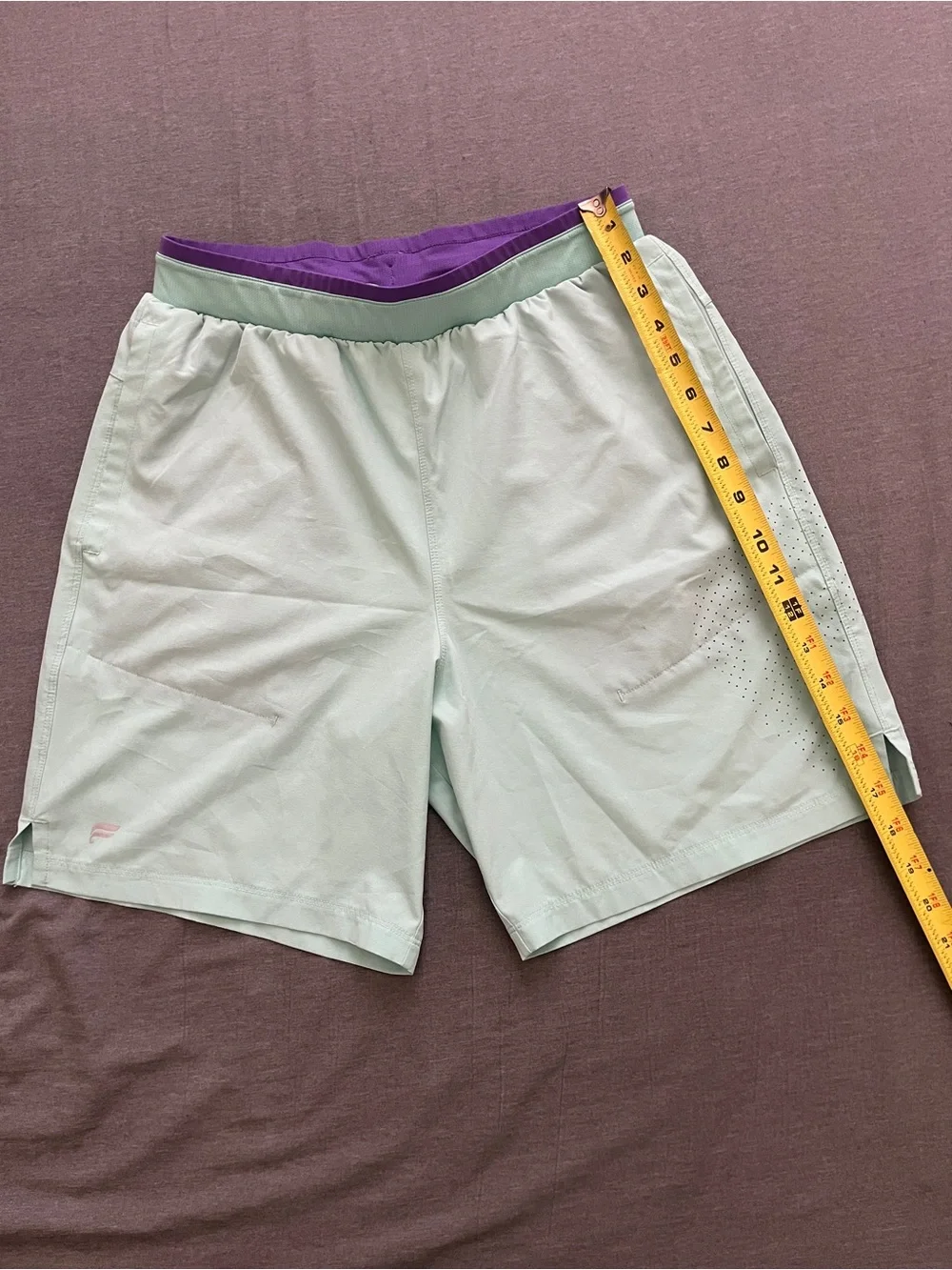 Fabletics Men's Mint Athletic Shorts with Purple Waistband